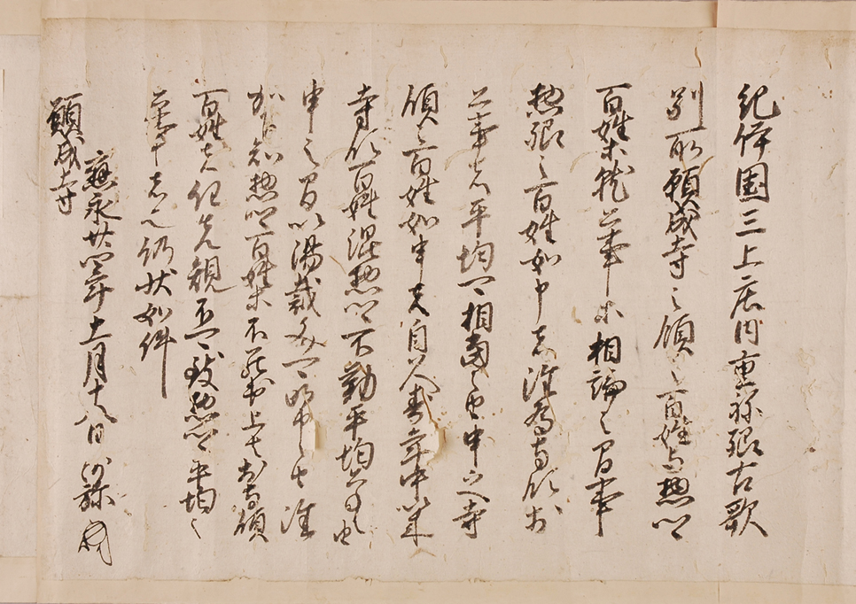 展示のみどころ